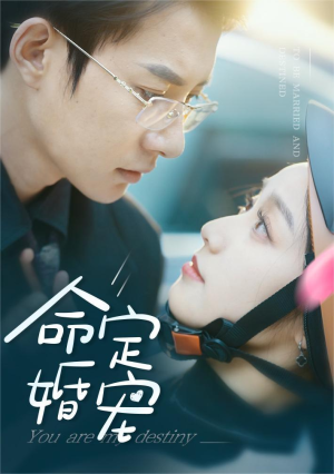 命定婚宠（61集）零花钱看整部剧