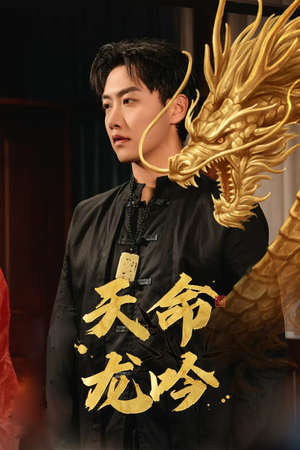 天命龙吟（48集）怎么看全集