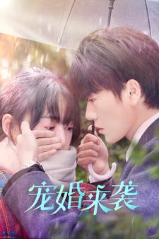 宠婚来袭（102集）好看吗