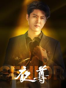 夜尊（95集）免费看全网短剧