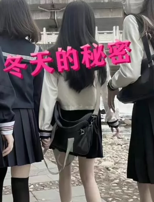 冬天的秘密（60集）热门短剧又来了