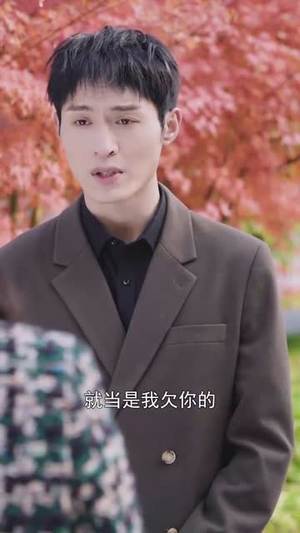 相爱已成往事（44集）短剧追不停