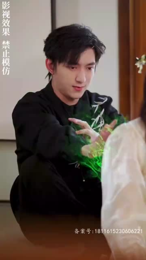 风起密藏（81集）短剧太精彩了