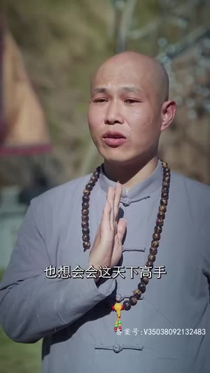 镇国主宰（90集）最近很火的短剧