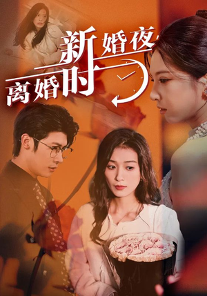 新婚夜，离婚时（35集）热门短剧看不停