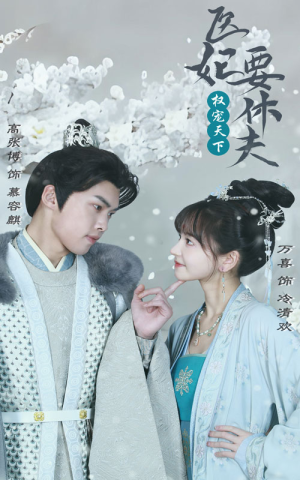 权宠天下：医妃要休夫（94集）短剧热门合集
