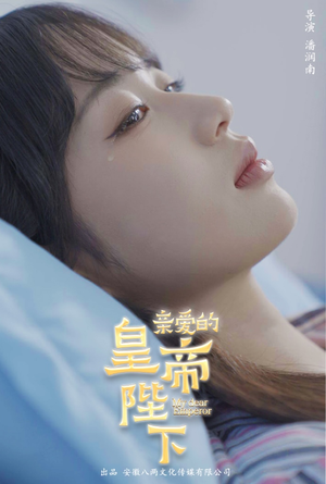 亲爱的皇帝陛下（81集）免费在线看全集