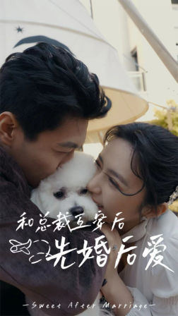 和总裁互穿后先婚后爱（60集）短剧热门分享