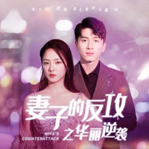 妻子的反攻之华丽逆袭（30集）精彩短剧看不停