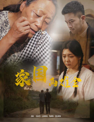家国两难全（62集）真的太好看了