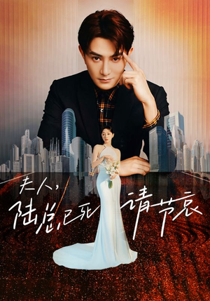 夫人，陆总已死请节哀（95集）演员表