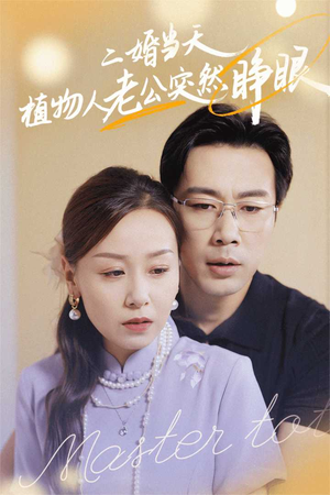 二婚当天植物人老公突然睁眼（40集）口碑之选免费看