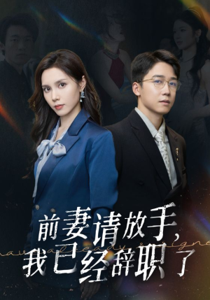 前妻请放手，我已经辞职了（30集）番茄短剧看全集