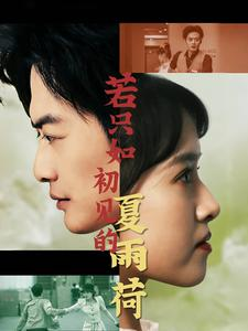 若只如初见的夏雨荷（90集）口碑之选免费看