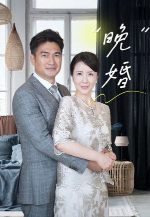 晚婚（65集）分享好看的短剧