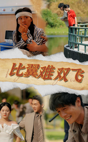 比翼难双飞（30集）集免费看短剧