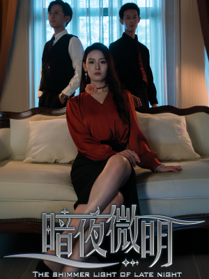 暗夜微明（70集）免费看全网短剧