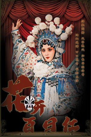 花开百日红（30集）在线看完整版