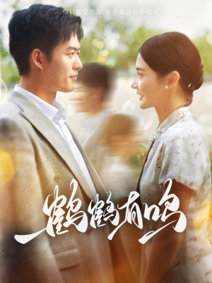 鹤鹤有鸣（87集）精彩好看的短剧