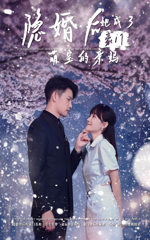 隐婚后，她成了豪门萌宝的亲妈（69集）精彩的网络短剧