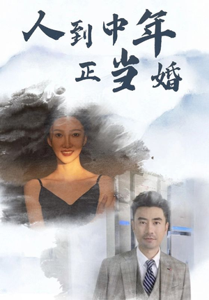 人到中年正当婚（81集）贝贝短剧分享