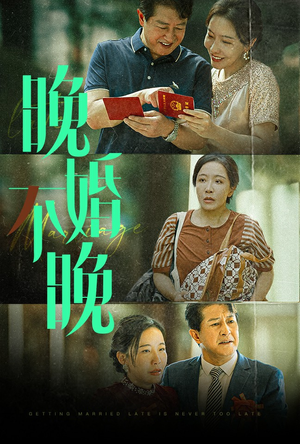 晚婚不晚（30集）超级好看的短剧