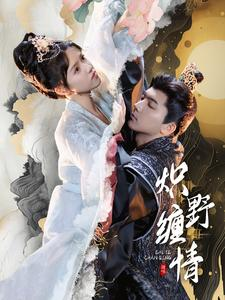炽野缠情（95集）抢先看热门短剧