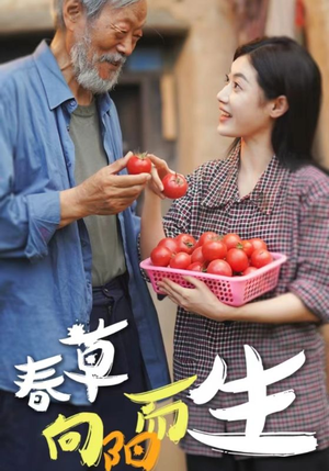 春草向阳而生（53集）精彩不断免费看