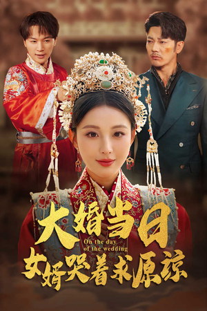 大婚当日，女婿哭着求原谅（31集）免费观看全集