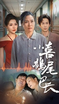 小喜鹊尾巴长（53集）超甜短剧分享