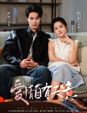 爱情自有天意（60集）免费看全集