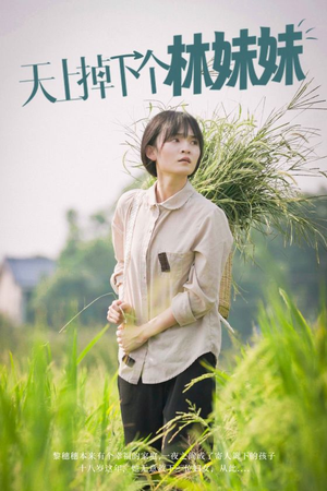 天上掉下个林妹妹（81集）短剧在哪里看