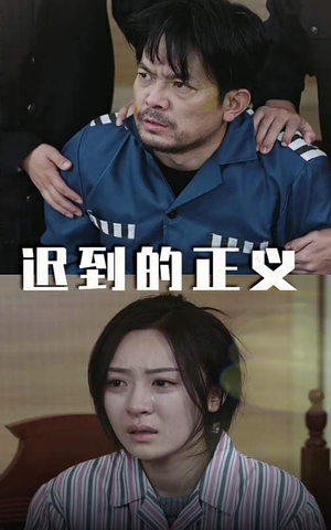 迟到的正义（39集）免费在线看全集