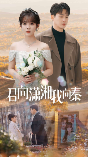 君向潇湘我向秦（30集）独家资源免费看