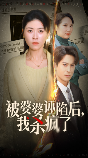 被婆婆诬陷后我杀疯了（30集）完整版