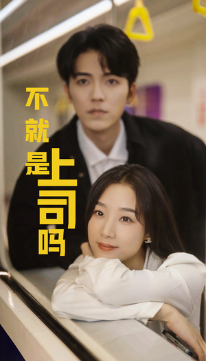 不就是上司吗（80集）全剧免费观看