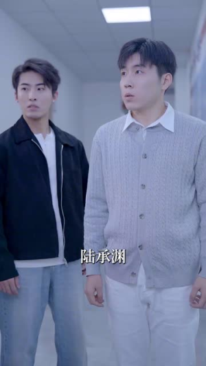 你比我重要万倍（30集）热门火爆短剧