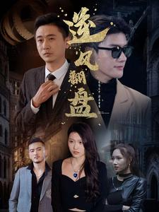 新：逆风翻盘（94集）免费版