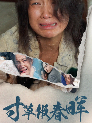 寸草报春晖（65集）高质量短剧推荐