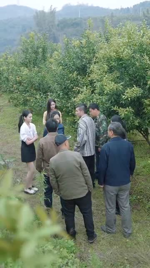 我本真心换薄情（49集）短剧推荐更新中