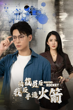 被裁员后，我反手造火箭（30集）在线观看