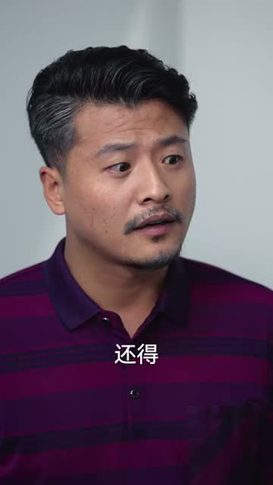 婚姻四十年梦终散（31集）短剧免费看全集