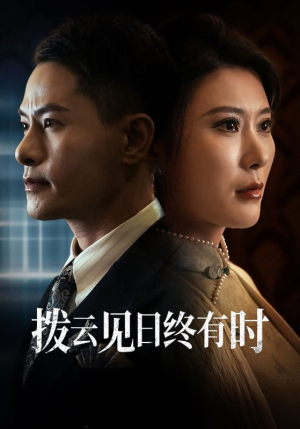 拨云见日终有时（30集）排行榜前十短剧