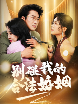 别碰我的合法婚姻（30集）免费短剧大全