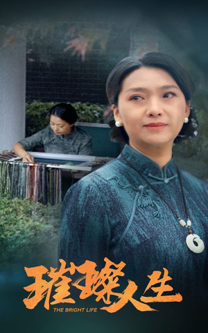 璀璨人生（50集）零花钱看整部剧