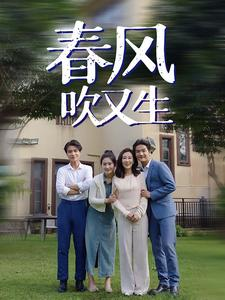 春风吹又生（56集）经典老剧免费看