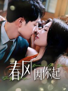 春风因你起（95集）精彩短剧追不停