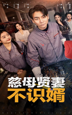 慈母贤妻不识婿（45集）短剧太好看