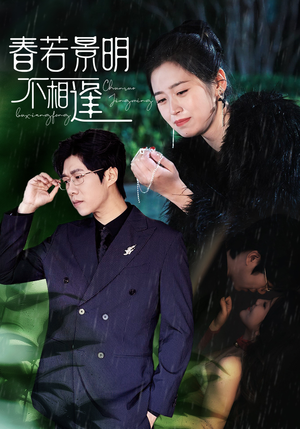 春若景明不相逢（50集）追短剧看全集