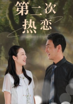 第二次热恋（48集）海量资源免费看